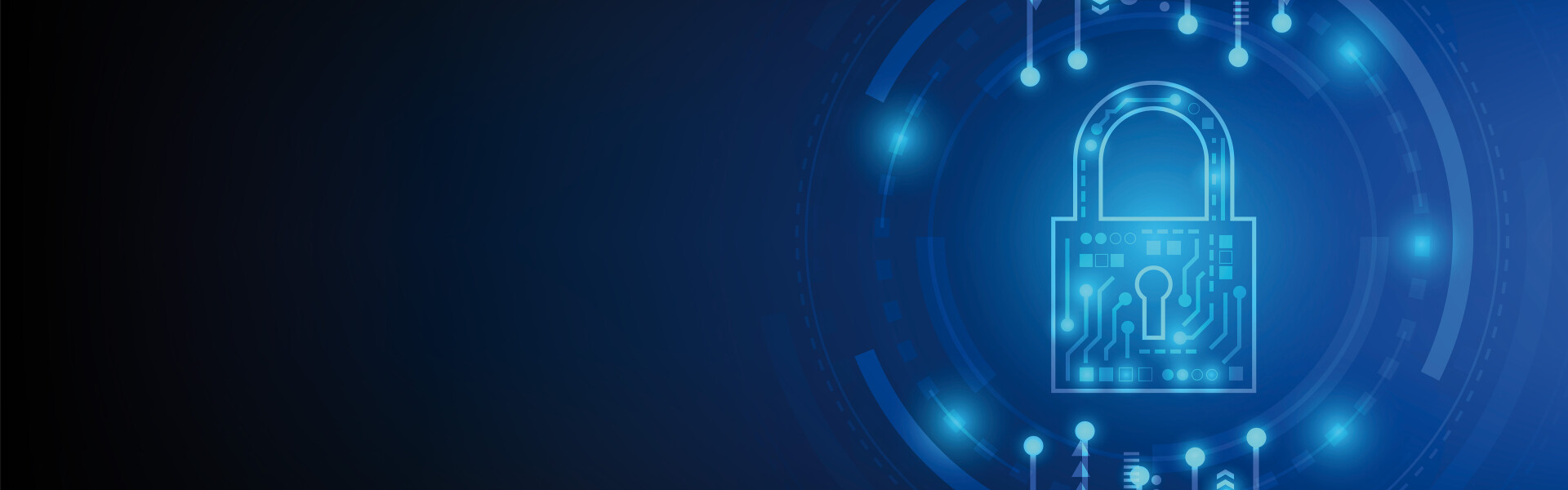 3. Cybercrime en gedigitaliseerde criminaliteit
